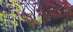 Silver Birches and Copper Beeches | 2013 | Oil on Canvas | 46 x 64 cm